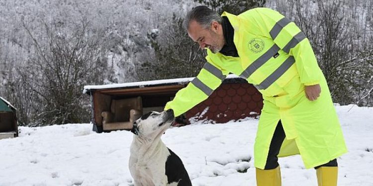 Sokak hayvanları Bursa’da sahipsiz değil