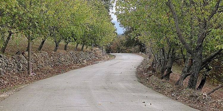 “Akyazı’da 50 kilometrelik güzergâhlar beton yol ile yenilenecek”