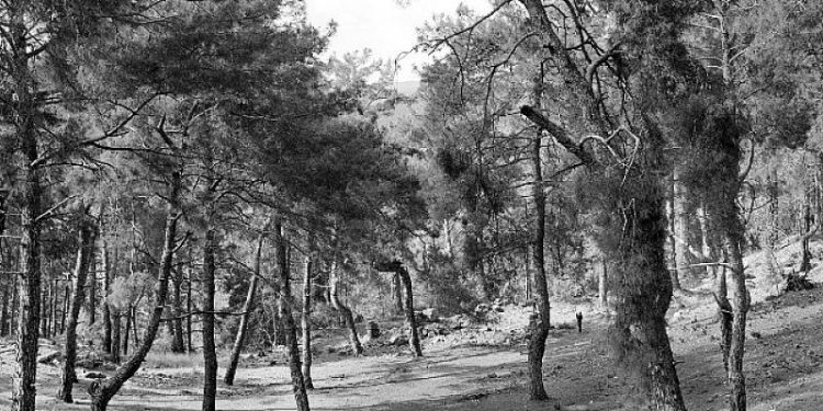 Anamed Sergilerinin 10. Yılı “Geçmiş ve Şimdinin Buluşması: Fotoğrafik Bir Keşif” Sergisi İle Kutlanıyor