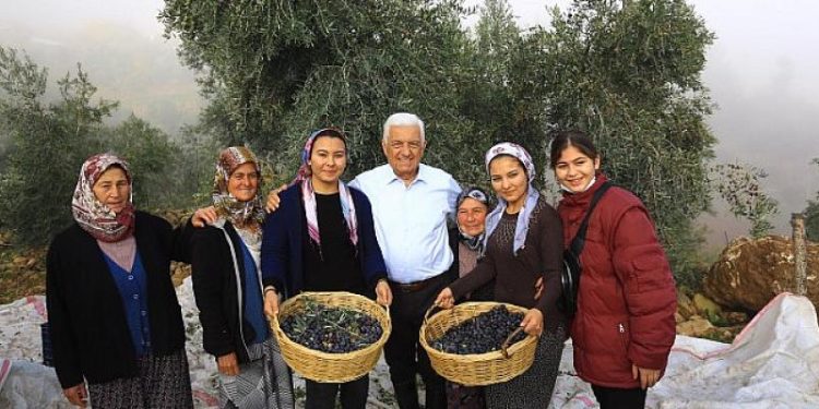 Başkan Gürün; “Zeytinliklerin Korunması İçin Hukuki Mücadele Başlatıyoruz”