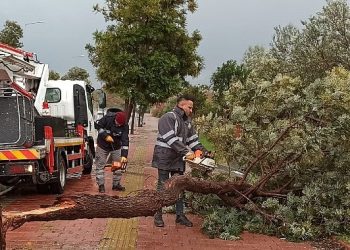 Antalya Büyükşehir’den olumsuzluklara hızlı müdahale