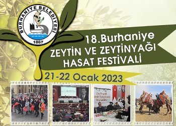 Burhaniye Zeytin Hasat Festivaline Geri Sayım Başladı