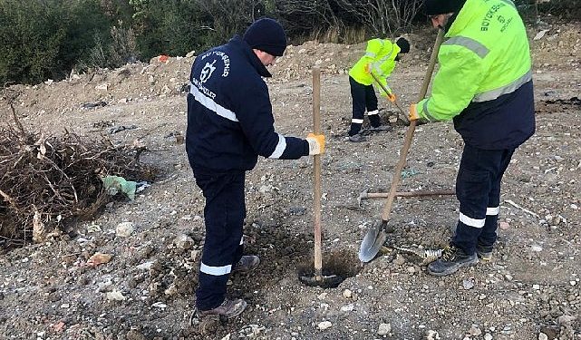 Karamürsel Dereköy’e 1000 ağaç fidanı dikilecek