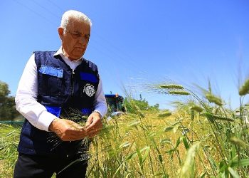 Muğla Büyükşehir’den Tarım ve Hayvancılığa Büyük Destek