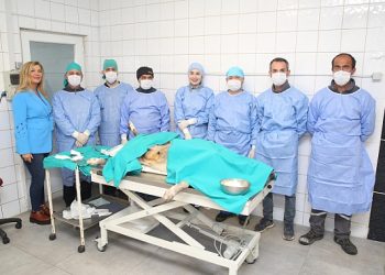 Nilüfer’de sahipsiz can dostlar kısırlaştırılıyor