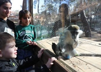 Antalya Büyükşehir Doğal Yaşam Parkı’na yoğun ilgi