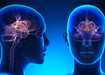 Alzheimer hastalığı 20 yıl önceden tespit edilebilecek!