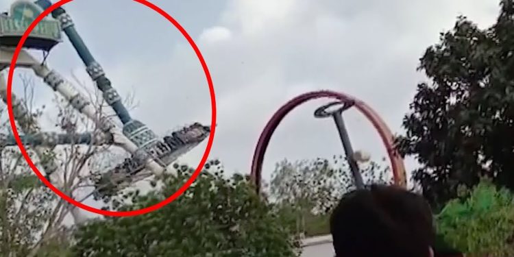 Eğlence için pisi pisine öldüler! Yüreği olan bu görüntüleri izlemesin