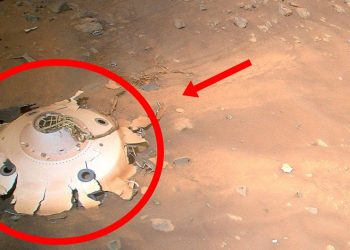 NASA uzaylı fotoğraflarını paylaştı! İnanılmaz görüntüler, uzaylılar aramızda!
